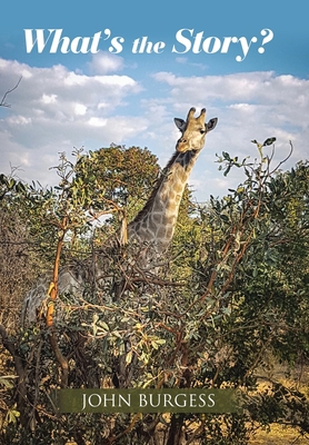 What's the Story? 1664104690 Book Cover