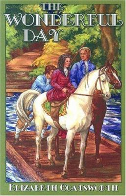 The Wonderful Day 1883937876 Book Cover