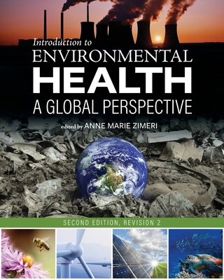 Introduction to Environmental Health: A Global ... B0DS3TQWXV Book Cover