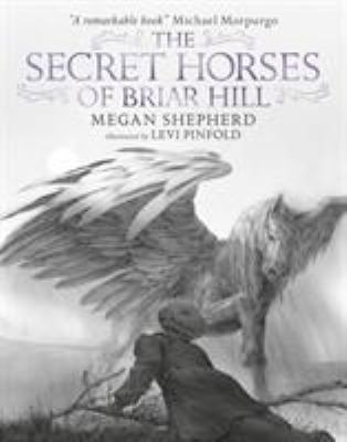 The Secret Horses of Briar Hill [Hardcover] [Oc... 1406367583 Book Cover