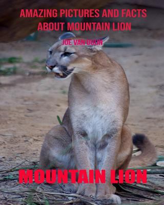 Mountain Lion: Amazing Pictures and Facts About Mountain Lion 1090330200 Book Cover