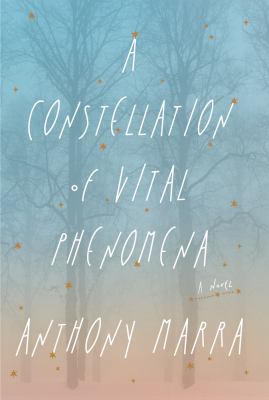 A Constellation of Vital Phenomena [Large Print] 1410462048 Book Cover