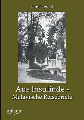 Aus Insulinde - Malayische Reisebriefe [German] 3845744901 Book Cover