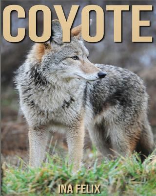 Coyote: Children Book of Fun Facts & Amazing Photos on Animals in Nature - A Wonderful Coyote Book for Kids aged 3-7 153271629X Book Cover