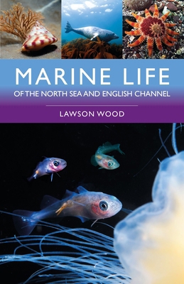 Marine Life of the North Sea and English Channel 1399415522 Book Cover