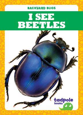 I See Beetles 1641287926 Book Cover