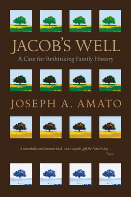 Jacob's Well: A Case for Rethinking Family History 1681341077 Book Cover