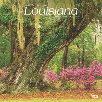 Louisiana Wild & Scenic 2025 12 X 24 Inch Month... 1975475127 Book Cover