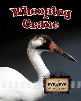 Whooping Cranes (Eye to Eye with Endangered Spe... 1606944010 Book Cover