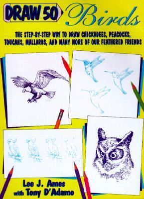Draw 50 Birds 0613278003 Book Cover