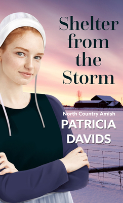 Shelter from the Storm [Large Print] 143289286X Book Cover
