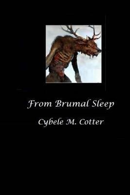 From Brumal Sleep -- 2nd Edition 1981339957 Book Cover
