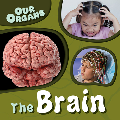 The Brain 1482477939 Book Cover
