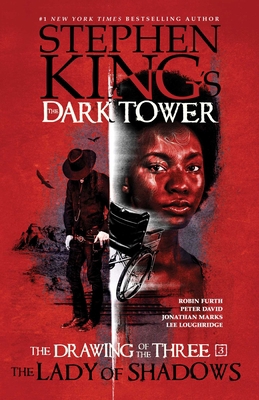The Lady of Shadows (The Dark Tower: The Drawin... 1982135336 Book Cover