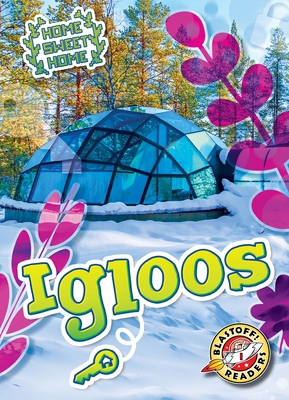 Igloos B0GQ6VBB3R Book Cover