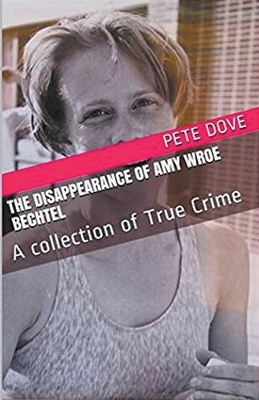 The Disappearance of Amy Wroe Bechtel            Book Cover