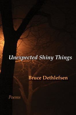 Unexpected Shiny Things 0984656804 Book Cover