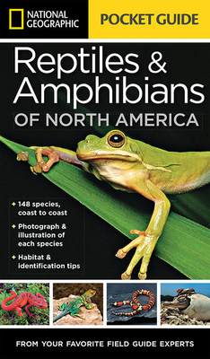 National Geographic Pocket Guide to Reptiles an... 1426214766 Book Cover