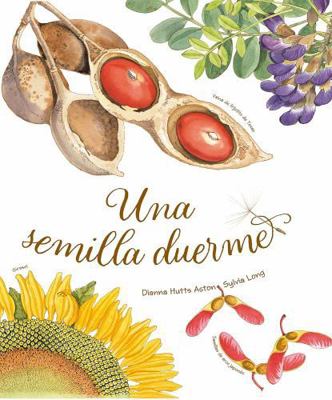 Una semilla dueme (Spanish Edition) [Spanish] 8418900229 Book Cover