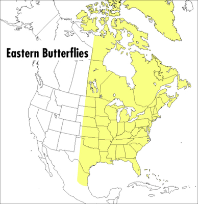 A Peterson Field Guide to Eastern Butterflies B09L2WG2B2 Book Cover