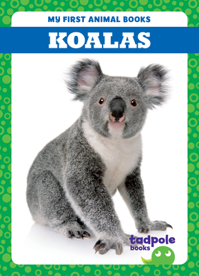 Koalas B0BY13KSJP Book Cover