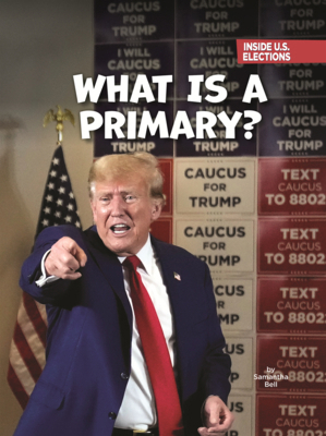 What Is a Primary? B0GN6MWWLY Book Cover