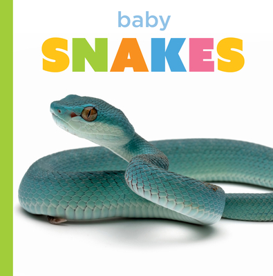 Baby Snakes B0GSS5C4R3 Book Cover