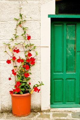 ORACLE R12 PURCHASING  - Volume 16 B086G191FN Book Cover