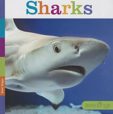 Sharks 1608183424 Book Cover