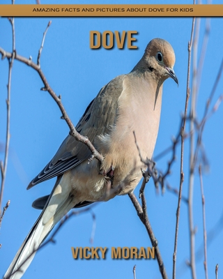Paperback Dove: Amazing Facts and Pictures about Dove for Kids [Large Print] Book