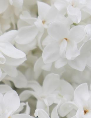 My Own Notebook 1073466264 Book Cover