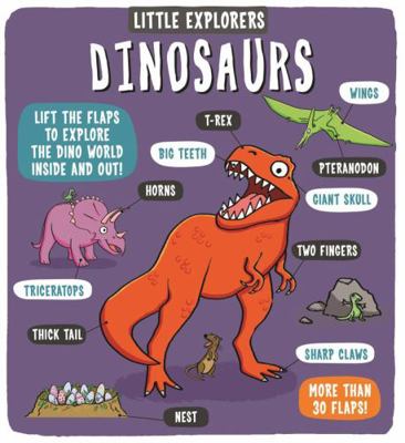 Little Explorers Dinosaurs            Book Cover