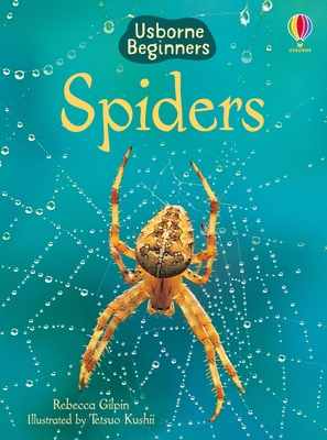 Spiders (Usborne Beginners) 183540555X Book Cover