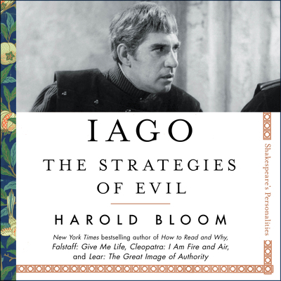 Iago: The Strategies of Evil 1684416841 Book Cover