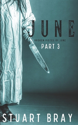 June: Broken pieces of June 3 B0C5PG99Z1 Book Cover