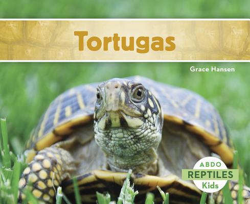 Tortugas [Spanish] 1496605098 Book Cover