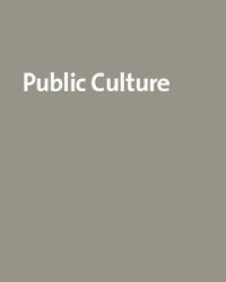 Public Culture, Vol. 14, No. 1: New Imaginaries... B002KY1H6A Book Cover