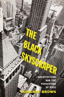 The Black Skyscraper: Architecture and the Perc... 1421429039 Book Cover