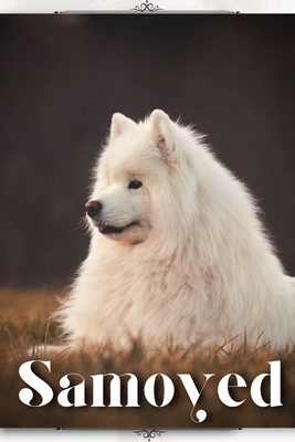 Samoyed: Dog breed overview and guide B0C9RVM8G3 Book Cover