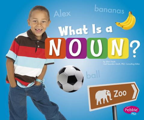 What Is a Noun? 1620651262 Book Cover