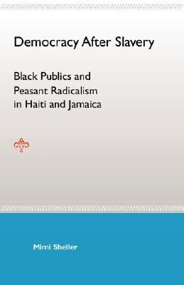 Democracy After Slavery: Black Publics and Peas... 0813030617 Book Cover