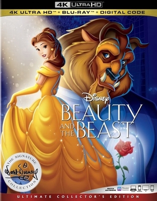 Beauty and the Beast B082PQKM5N Book Cover