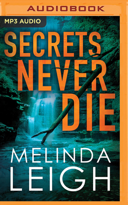 Secrets Never Die 1978643829 Book Cover