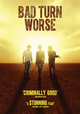 Bad Turn Worse            Book Cover