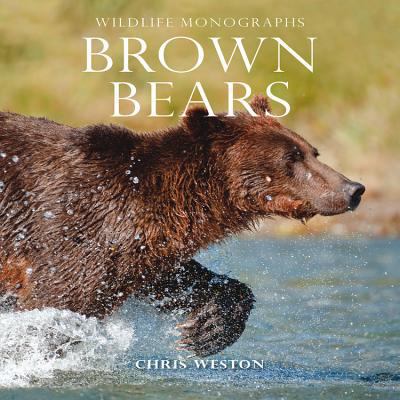 Brown Bears (Wildlife Monographs) 1901268500 Book Cover