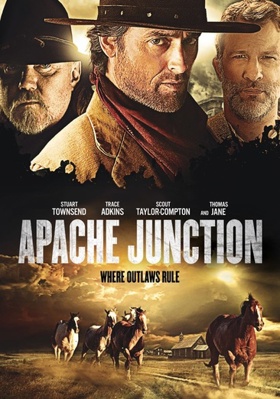 Apache Junction            Book Cover