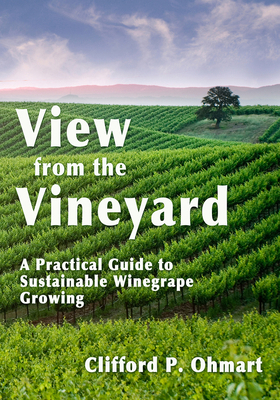 View from the Vineyard: A Practical Guide to Su... 1935879901 Book Cover