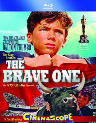 The Brave One Book Cover