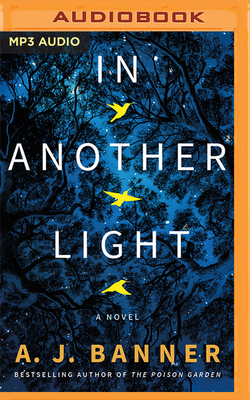 In Another Light 1713614812 Book Cover
