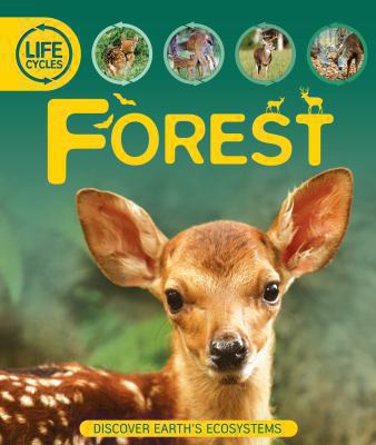 Life Cycles: Forest 075343654X Book Cover